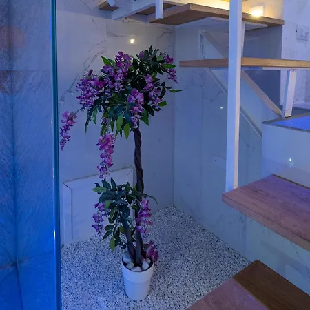 Arcum Guest house